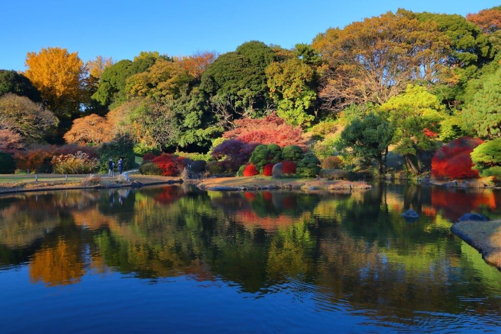 View of Koishikawa Botanical Garden in autumn
