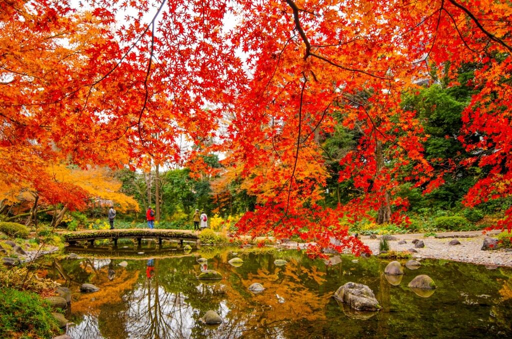 Koishikawa Korakuen Gardens, one of the best gardens in Tokyo