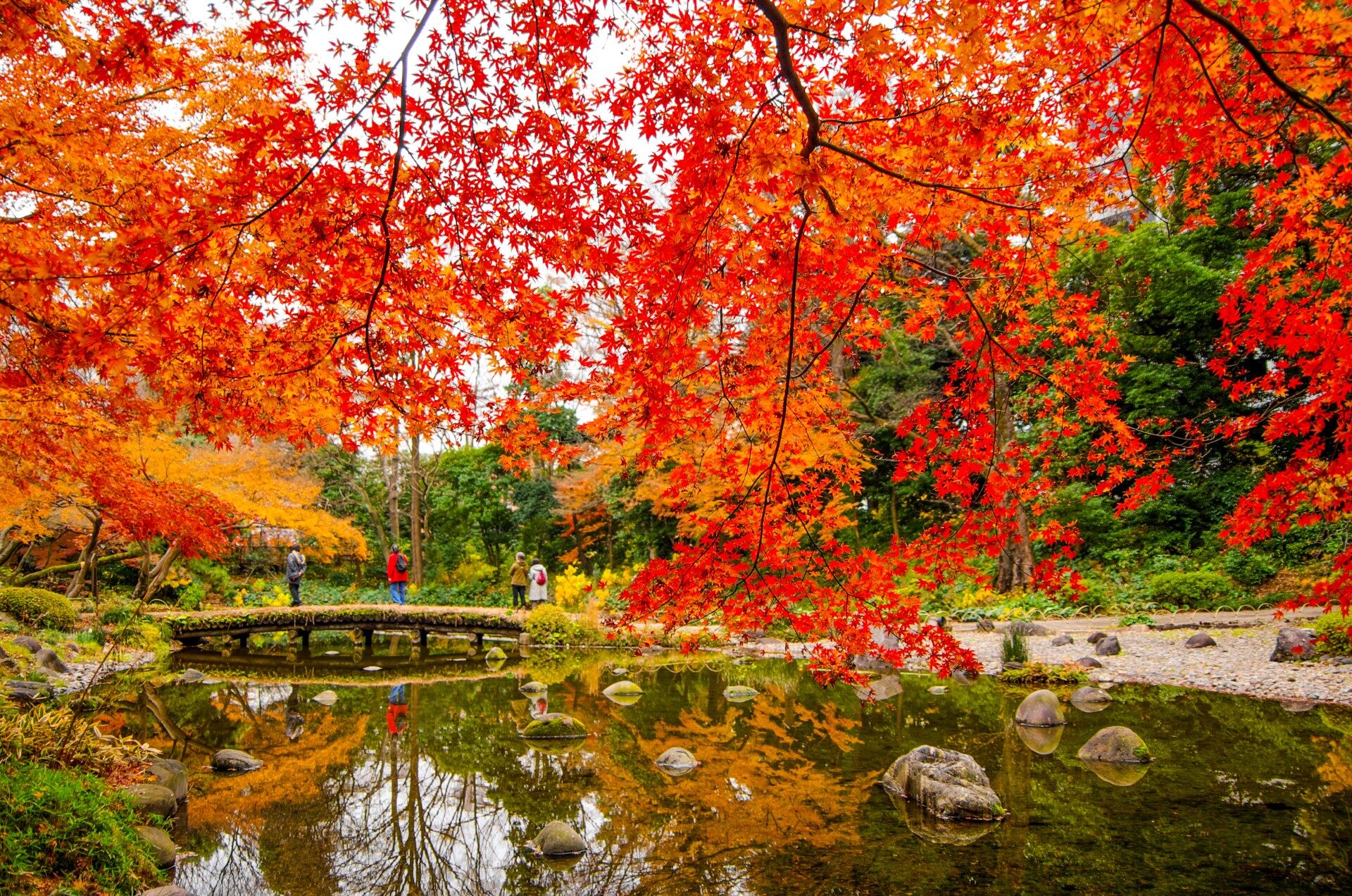 10 Most Beautiful Gardens in Tokyo | Celebrity Cruises