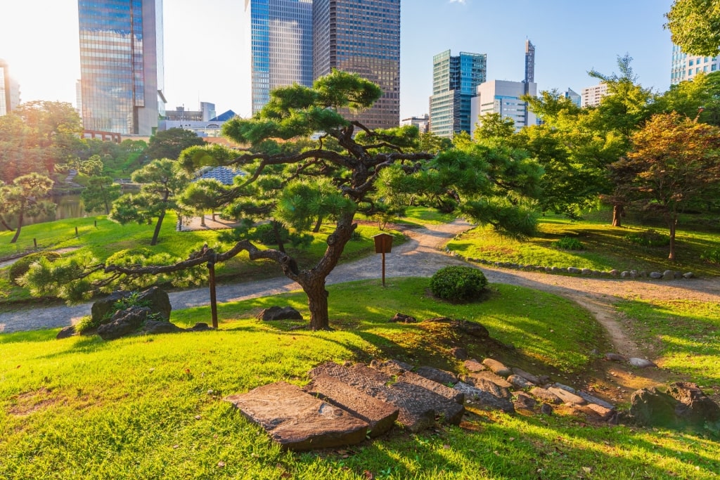 Multiple pathways in Kyu Shiba-Rikyu Gardens