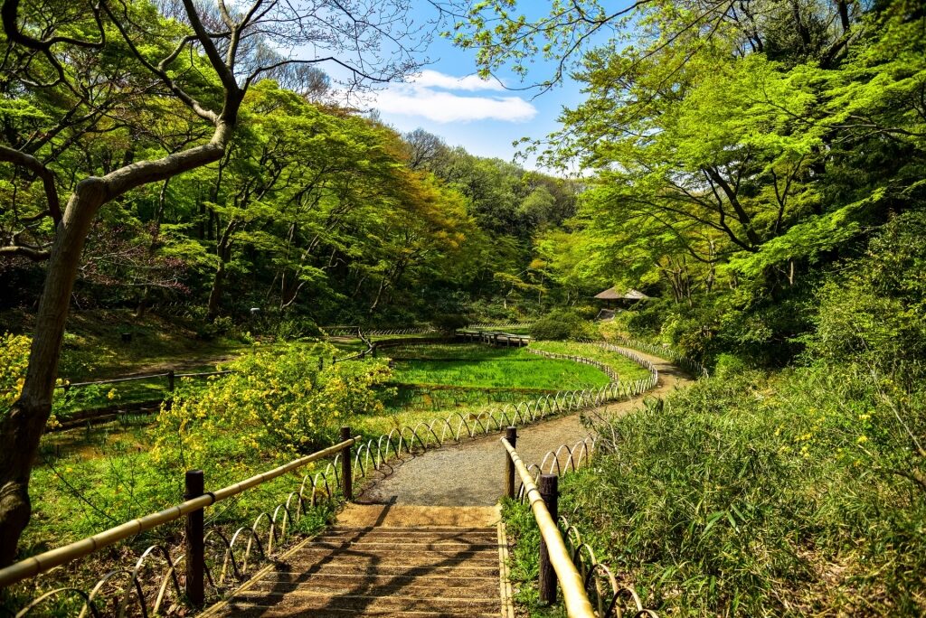 Pathway leading to Meiji Jingu Gyoen