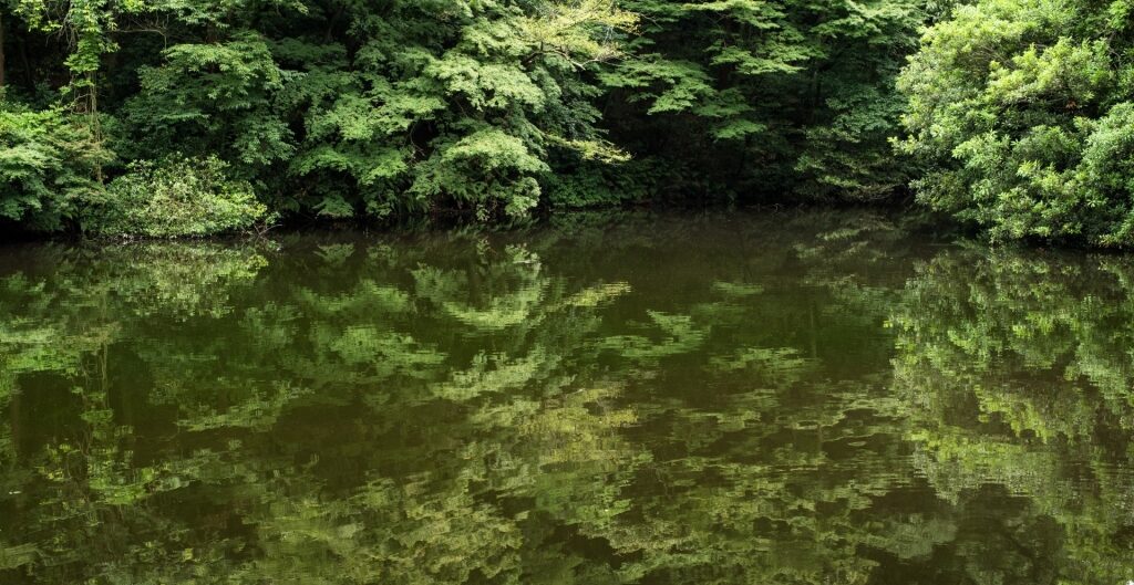 Inner pond in Meiji Jingu Gyoen