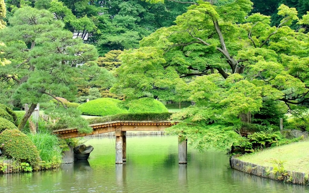 Bridge in Rikugien Gardens