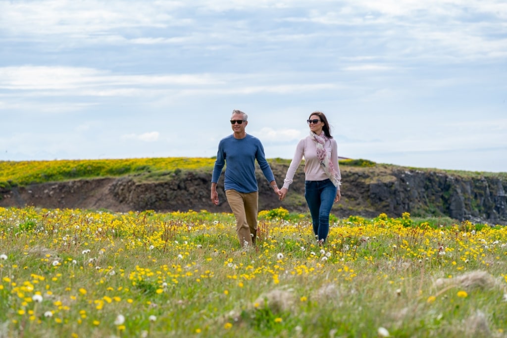 Grimsey Island, Iceland in the summer