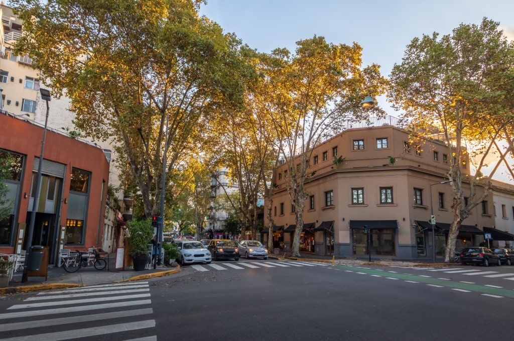 Street view of Palermo Soho