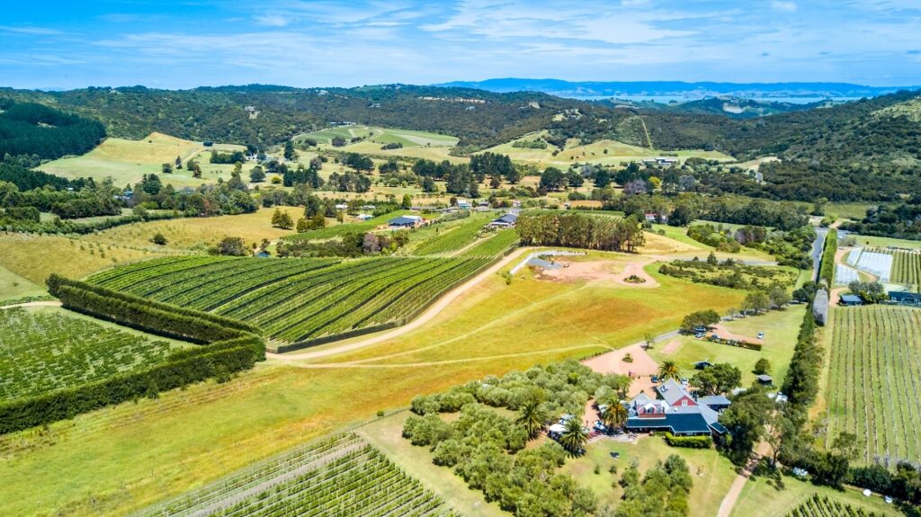 Aerial view of Auckland Wine Region