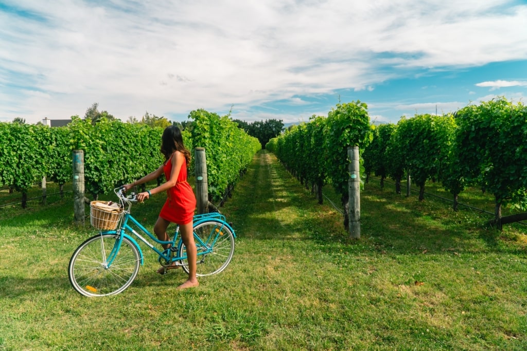 Woman on a bike tour in Marlborough