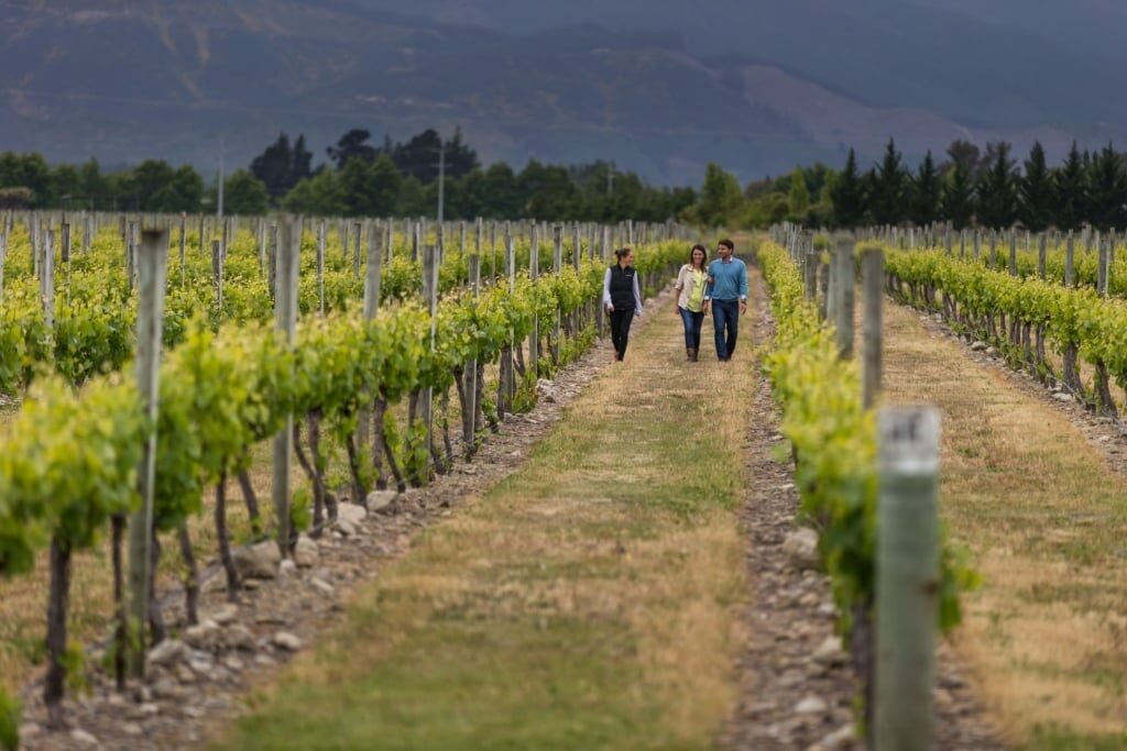 Couple exploring New Zealand wine regions