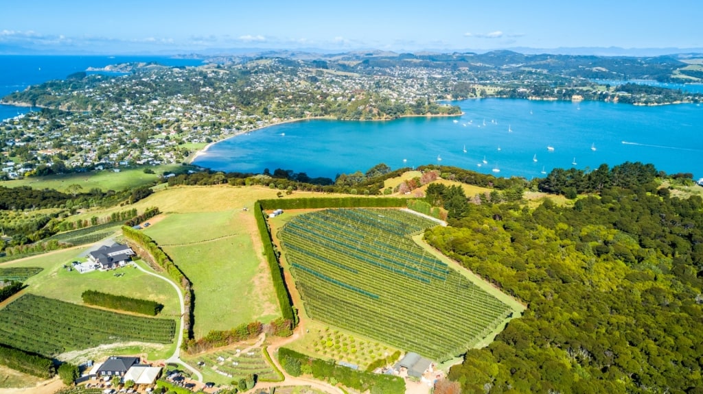 Aerial view of a winery in Waiheke Island