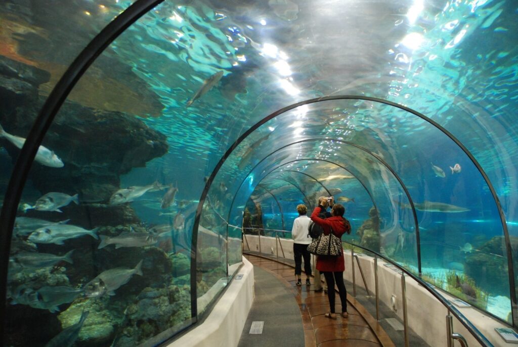 Marine life inside L’Aquarium