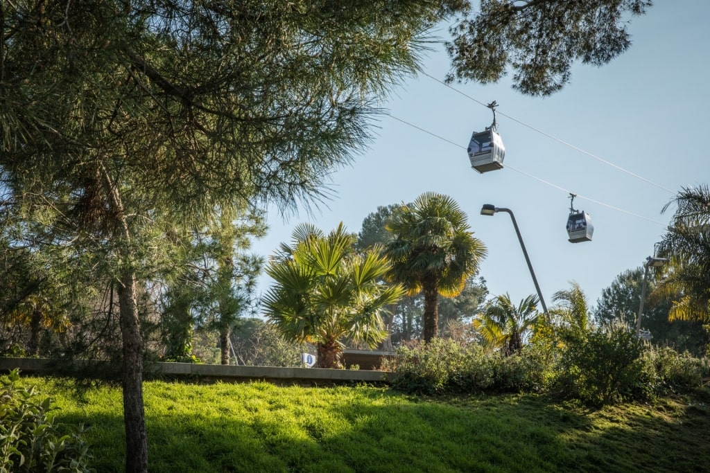 Lush landscape of Montjuic with tramway