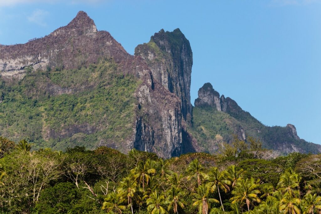 Lush landscape of Mount Pahia