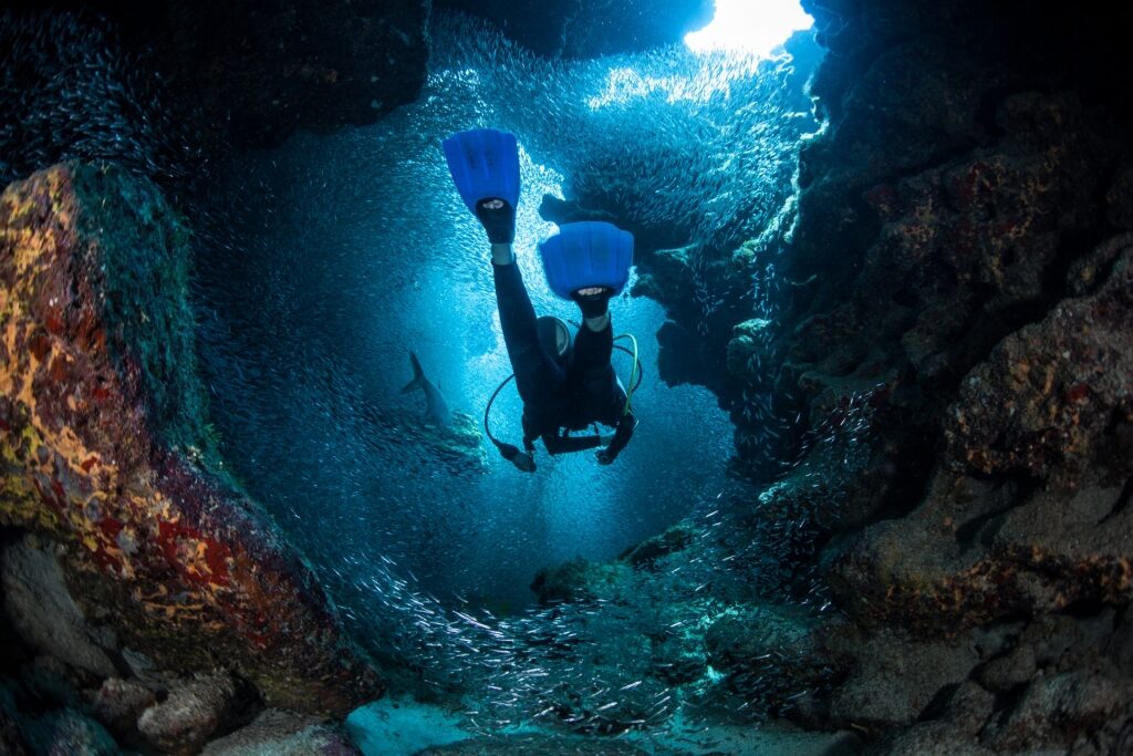 Man scuba diving in Devil’s Grotto