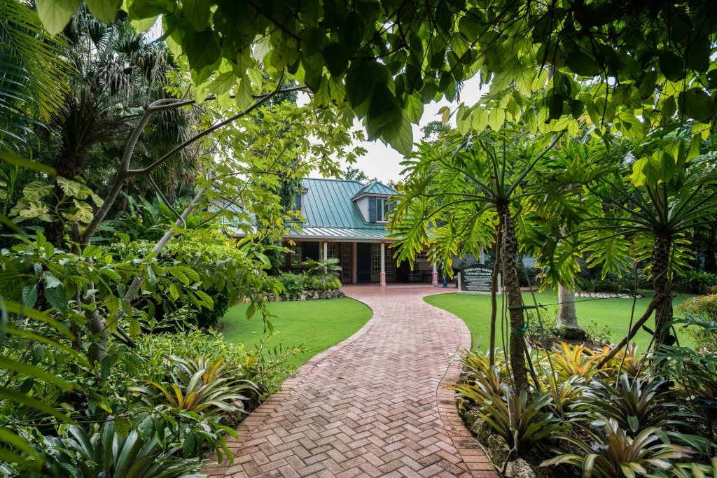 Pathway leading to the gardens in Queen Elizabeth II Botanic Park