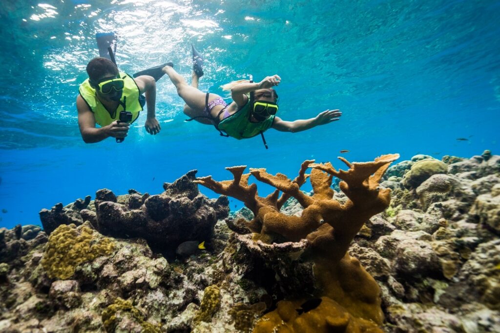 Couple snorkeling in Grand Cayman