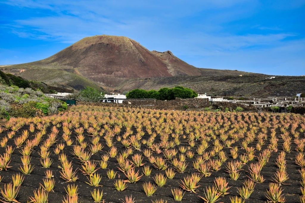 View of Lanzaloe with mountains as backdrop