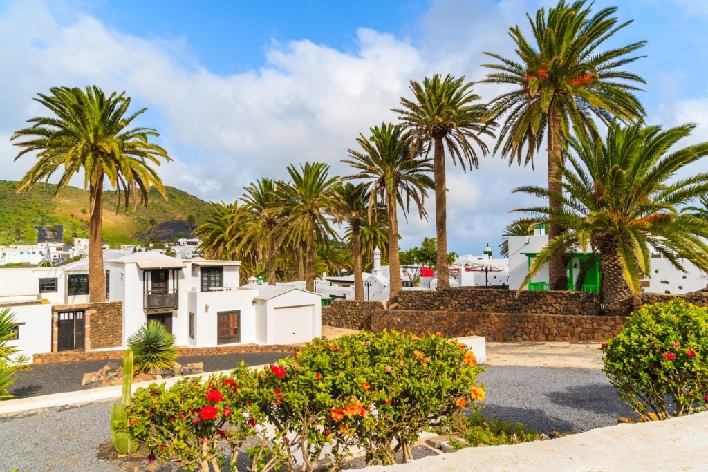 White houses with trees in Haría