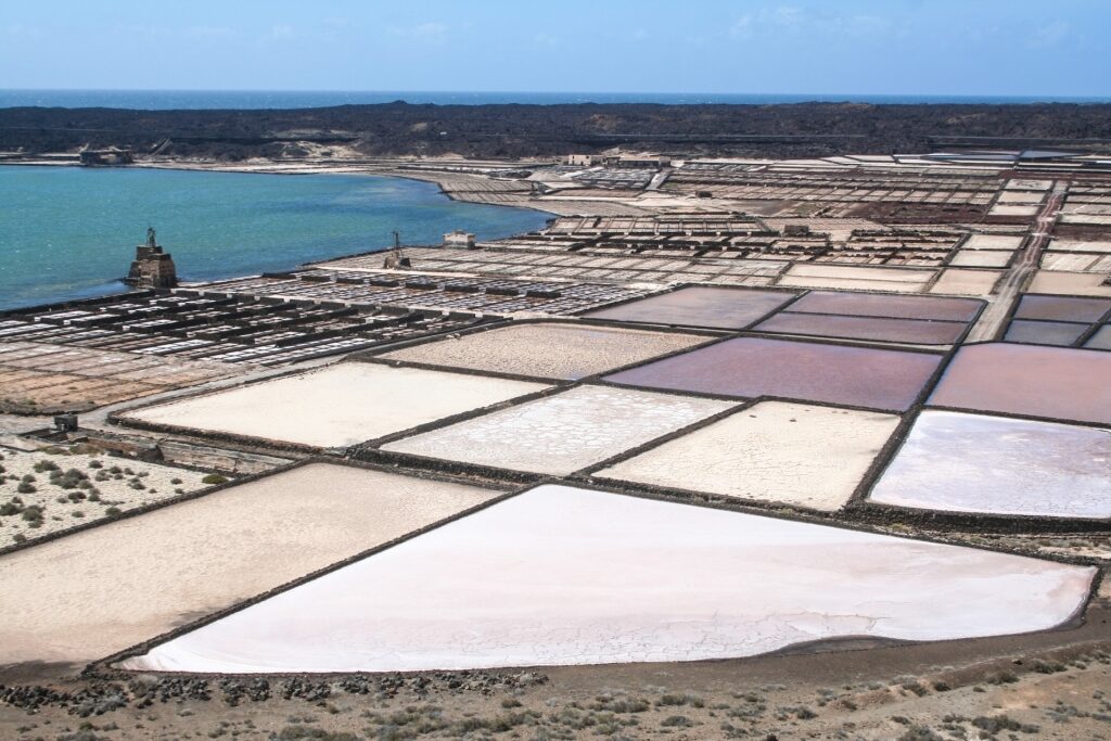 Aerial view of pinkish Janubio Salt Flats