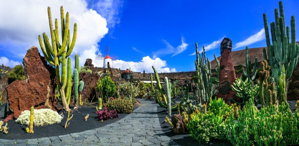 Visit Jardín de Cactus, one of the best things to do in Lanzarote