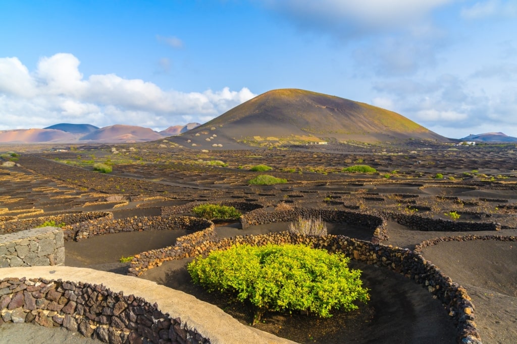 Volcanic landscape of El Grifo