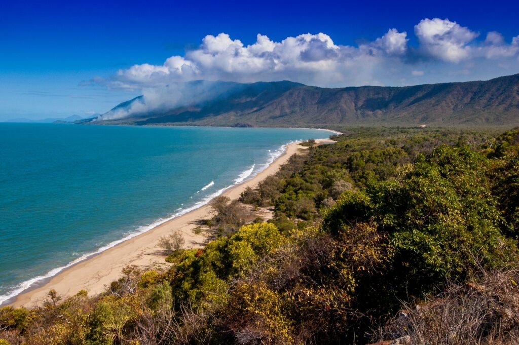 Visit Flagstaff Hill Lookout, one of the best things to do in Port Douglas