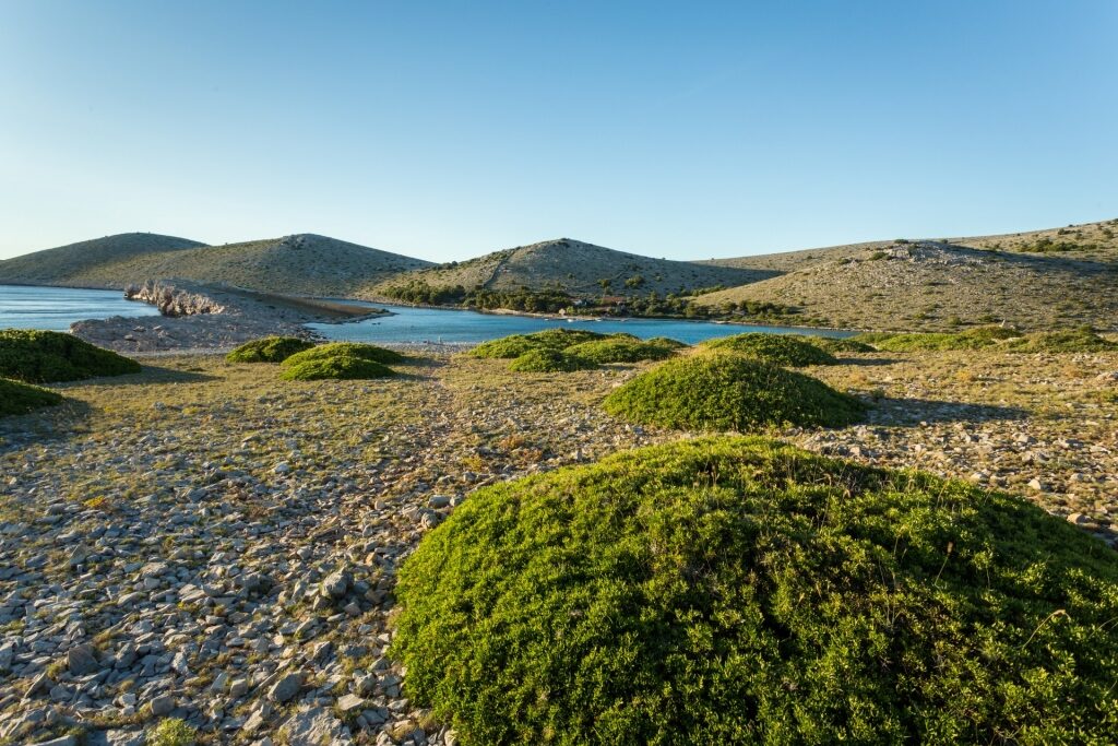 Lush landscape of Kornati National Park