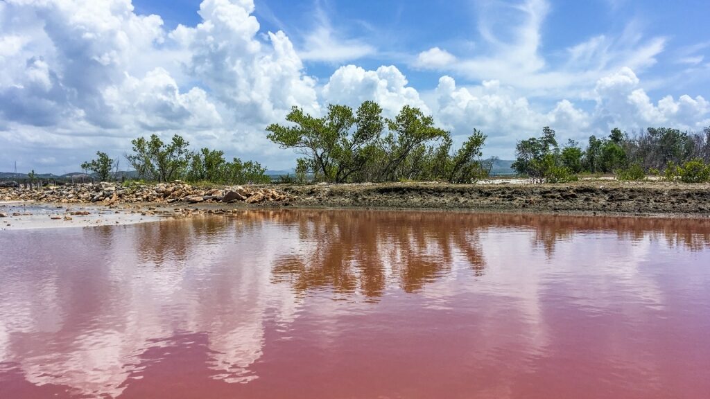 Pink water of Cabo Rojo Salt Flats, Cabo Rojo