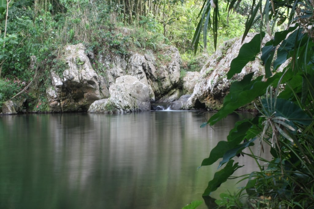 View while hiking in Charco Azul, Patillas