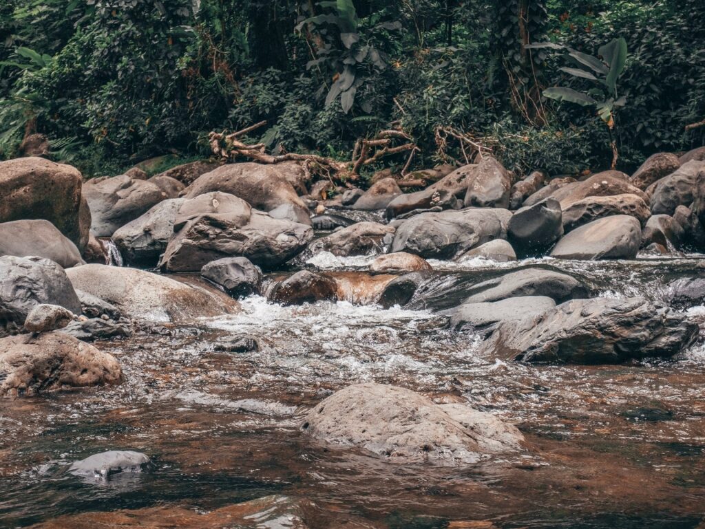 Rocky stream in El Angelito Trail, El Yunque National Forest