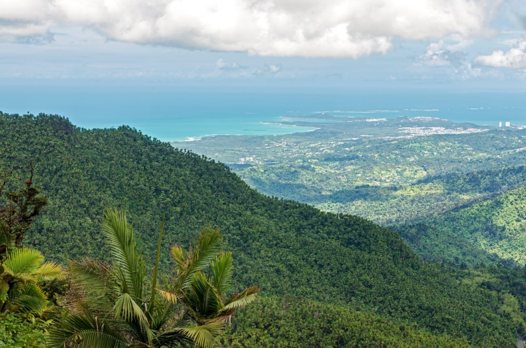 Scenic view from the El Toro Peak, Luquillo Mountains