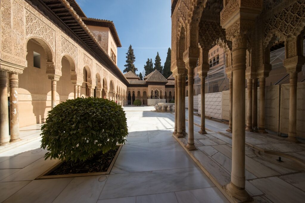 Empty view of Patio of the Lions, Alhambra Palace in Granada