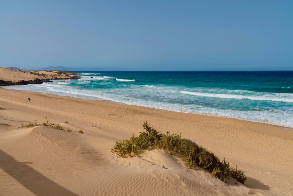 Brown sands of El Cotillo Beach