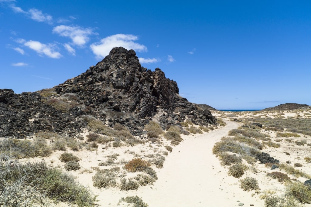 View while hiking in Lobos Island