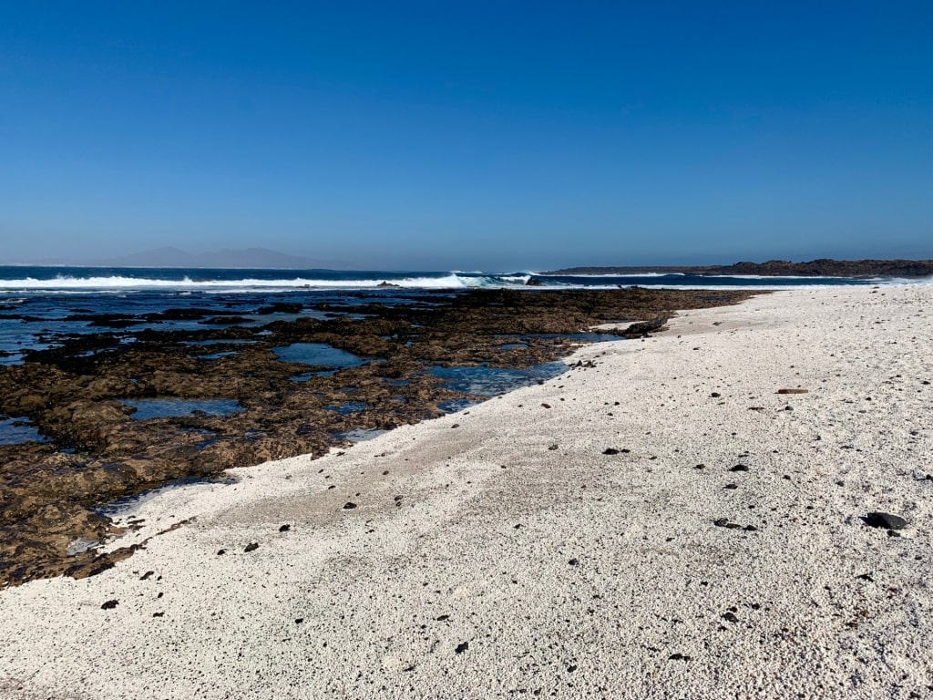 Popcorn Beach, one of the best Fuerteventura beaches