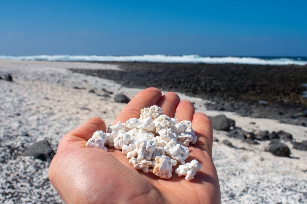 Unique corals and sands of Popcorn Beach