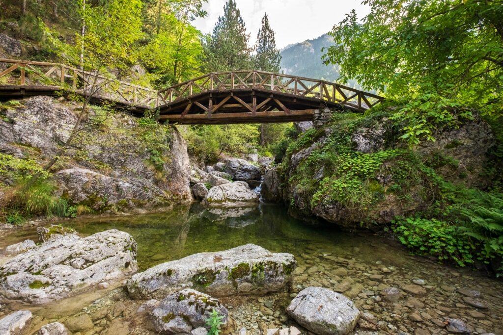 Wooden bridge with river at the Mount Olympus National Park, Thessaloniki