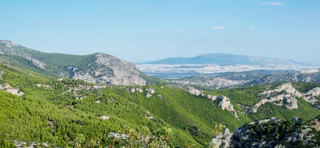 Lush view from the top of Parnitha Mountain, Athens