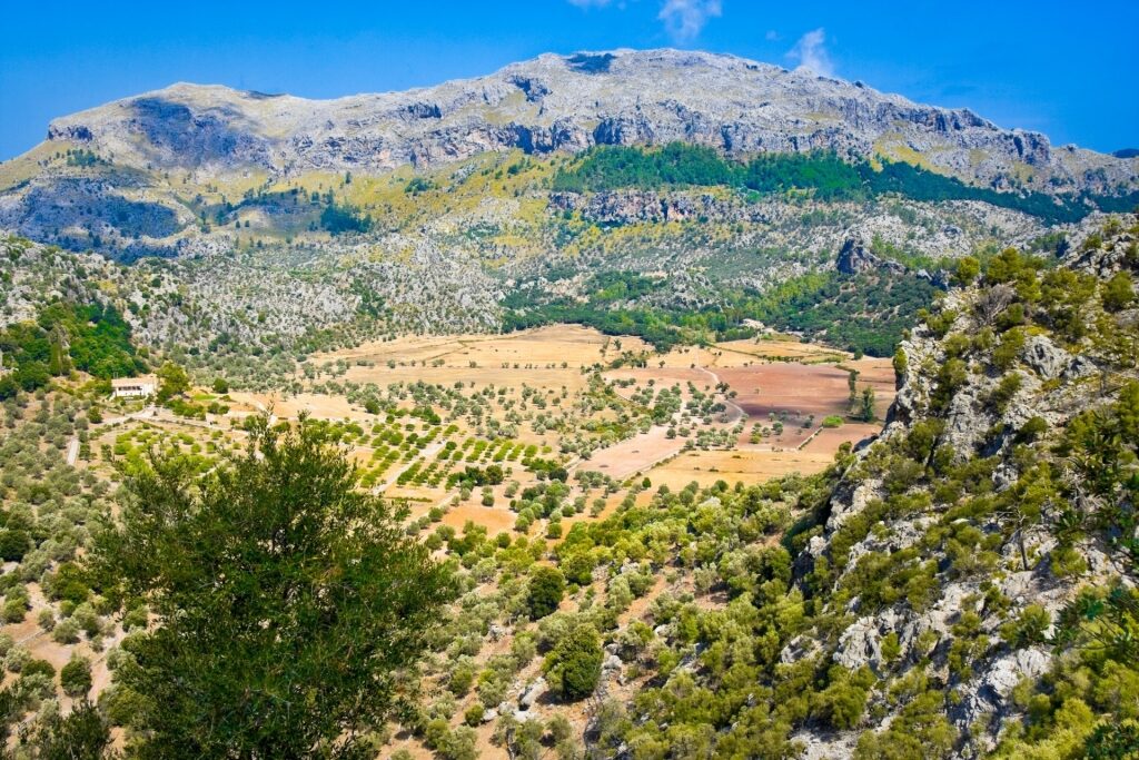 Majestic landscape of Sierra de Tramuntana Mountains, Palma de Mallorca
