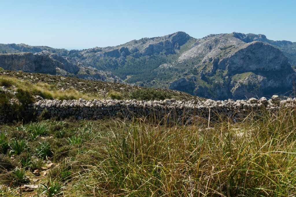 Popular Dry Stone Route in Sierra de Tramuntana Mountains, Palma de Mallorca