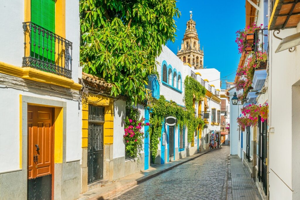 Colorful street of Cordoba