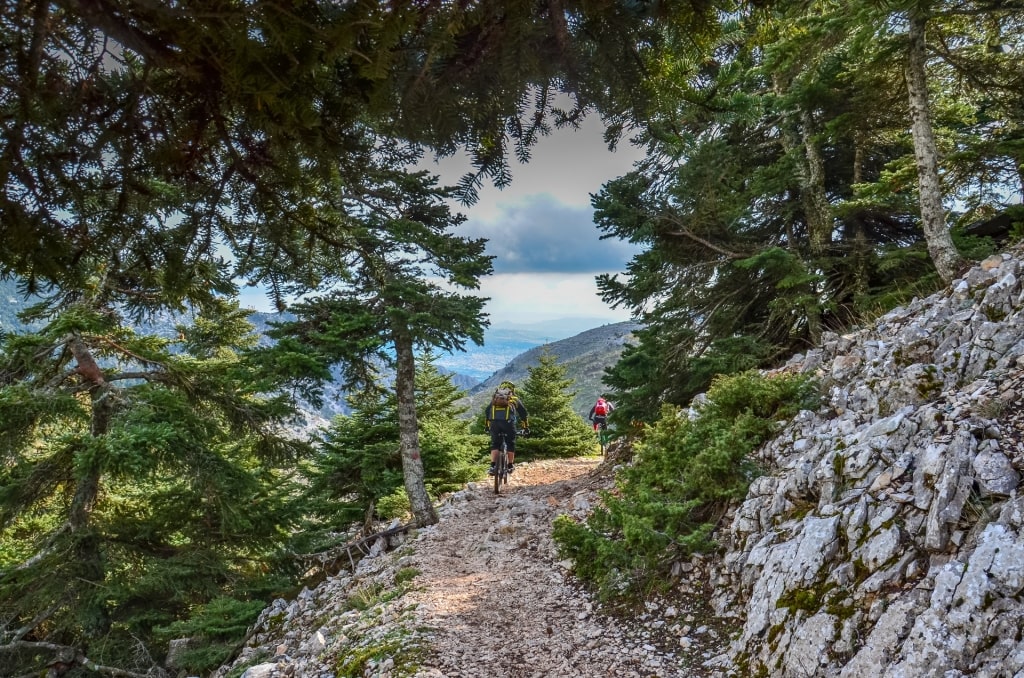 People biking in Mount Parnitha, Athens