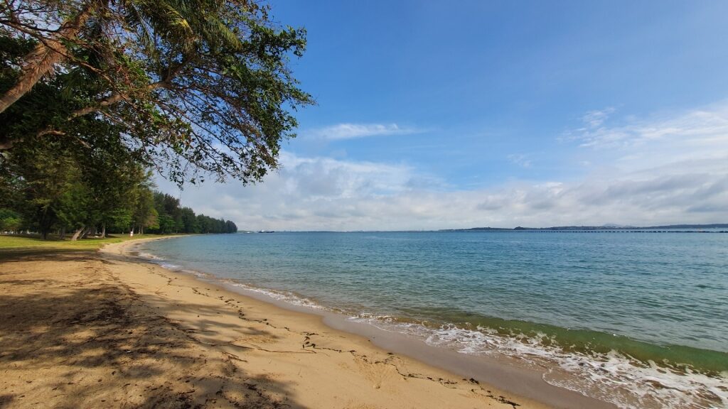 Brown sands of Changi Beach