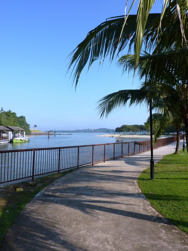 View of the trail in Changi Park Coastal Walk