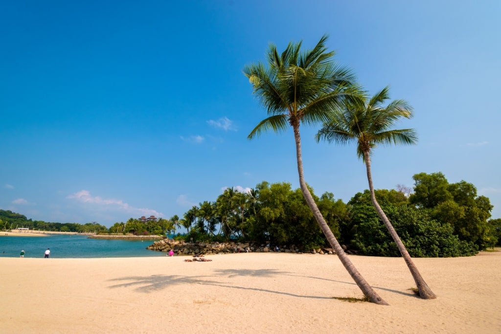 Fine sands of Palawan Beach