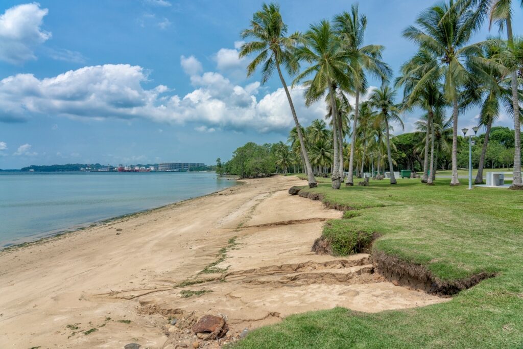 Quaint beach of Pasir Ris Beach