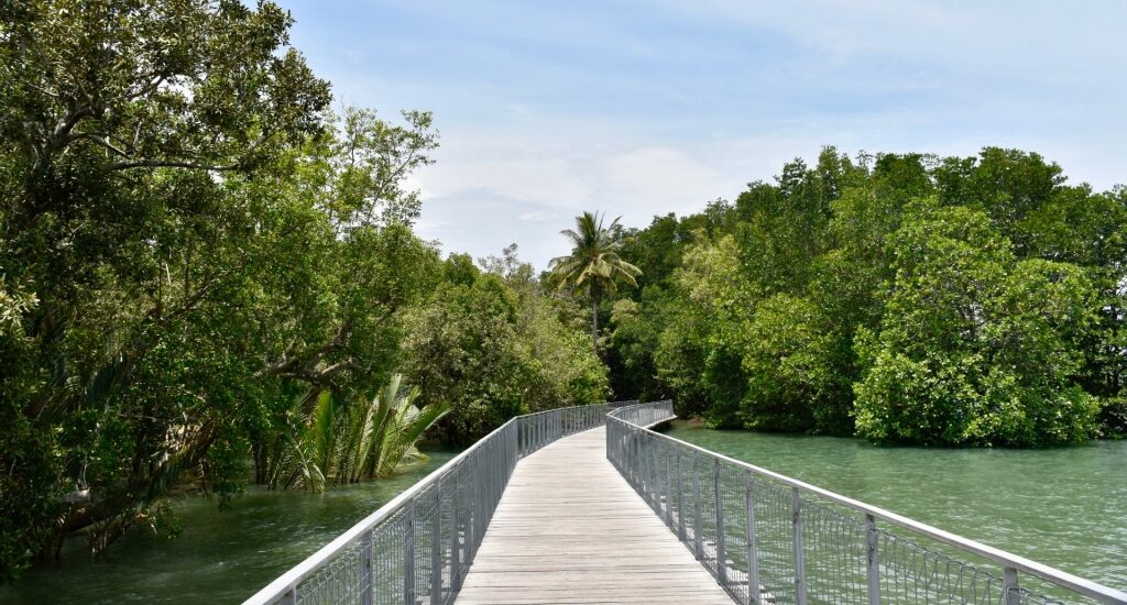 Boardwalk in Chek Jawa Wetlands