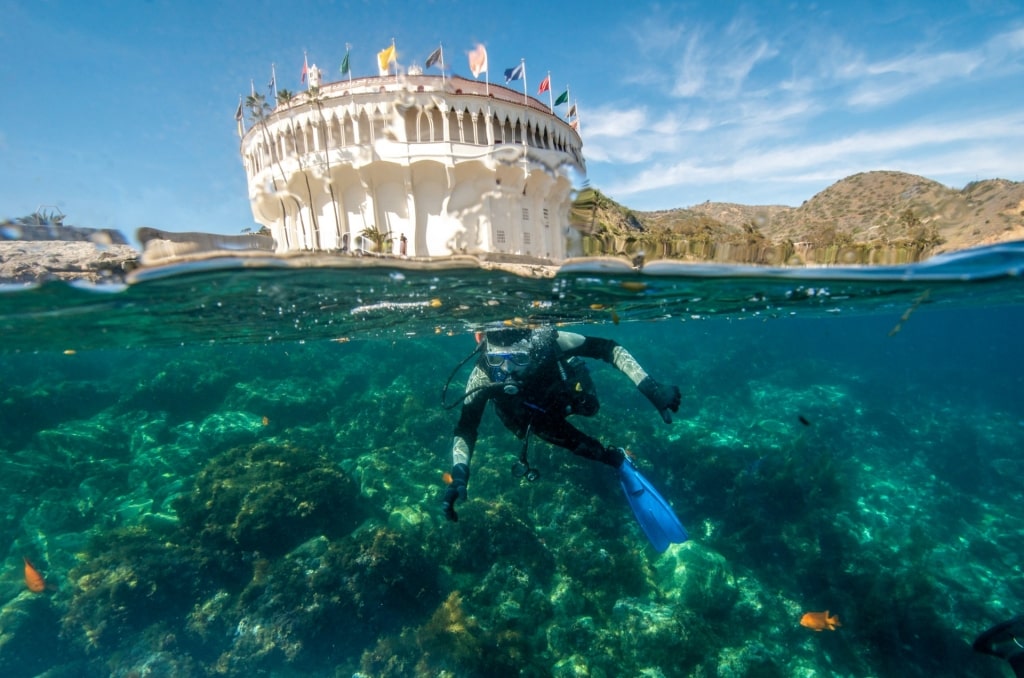 Man snorkeling along Casino Point Dive Park, Catalina Island