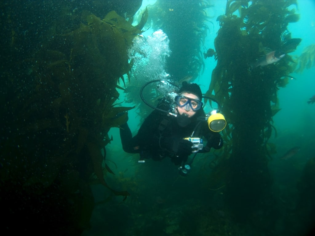 Man snorkeling in Casino Point Dive Park, Catalina Island