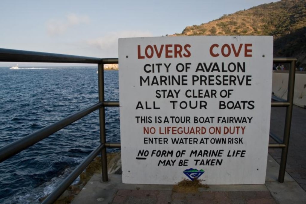 View of the water in Lover’s Cove, Catalina Island