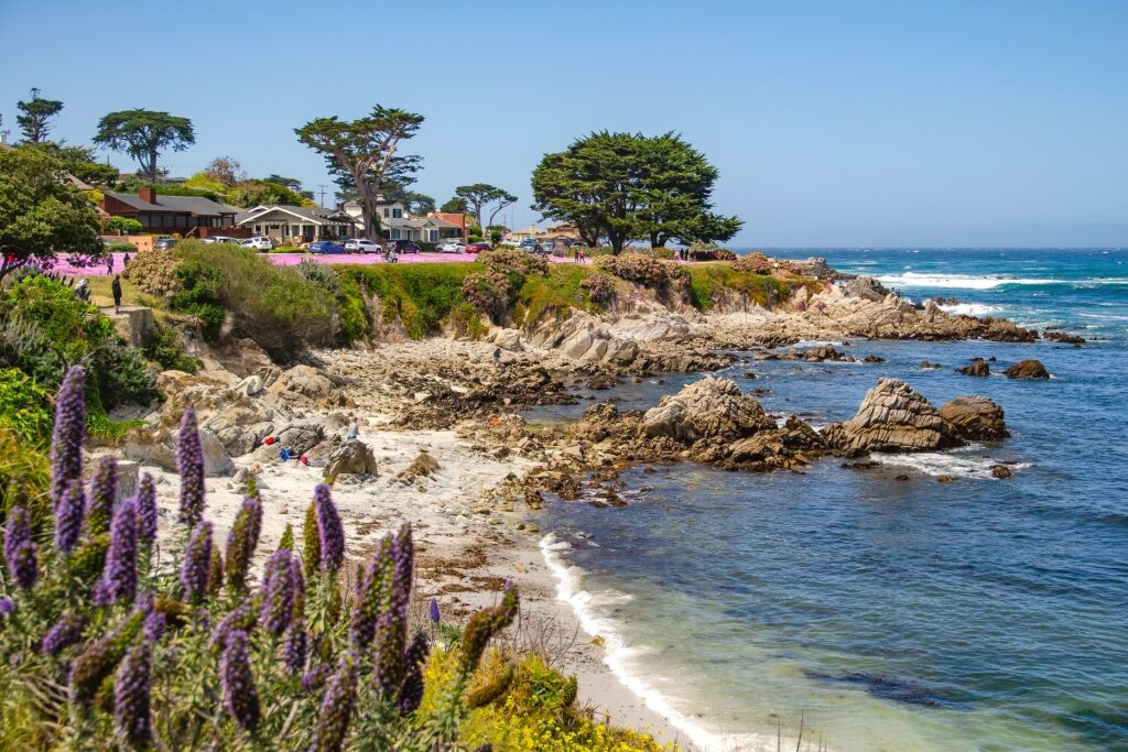 Rocky shoreline of Lovers Point, Monterey Bay